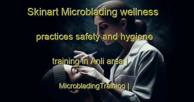 Skinart Microblading wellness practices safety and hygiene training in Anli area | MicrobladingTraining | MicrobladingClasses | SkinartTraining-Mozambique